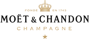 dynamo langues cours langues partenaire moe tet chandon - 1